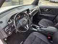 Mercedes-Benz GLK 350 CDI 4MATIC A-Edition Plus Aut. Weiß - thumbnail 12