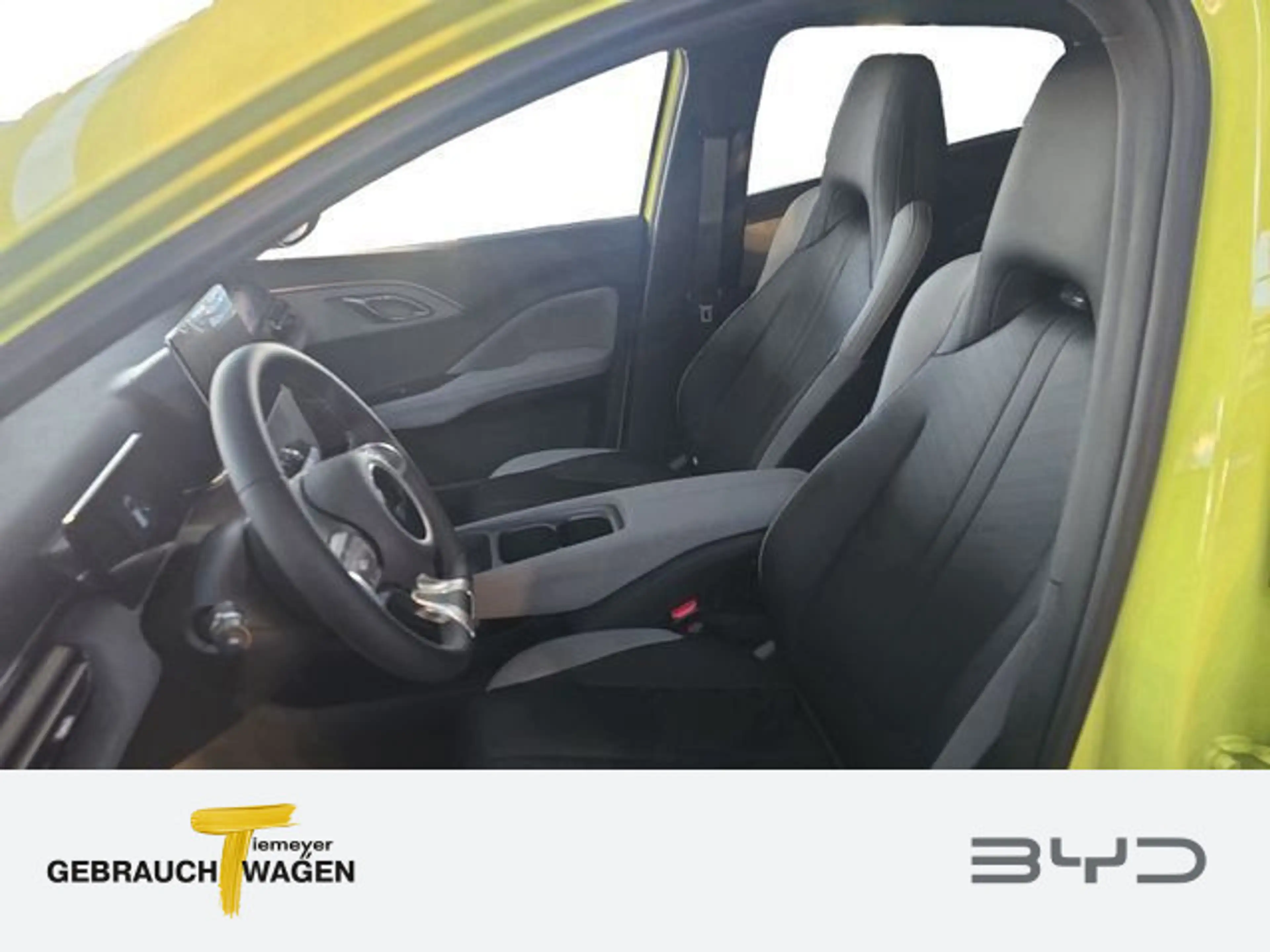 BYD Dolphin Surf Comfort — photo 9