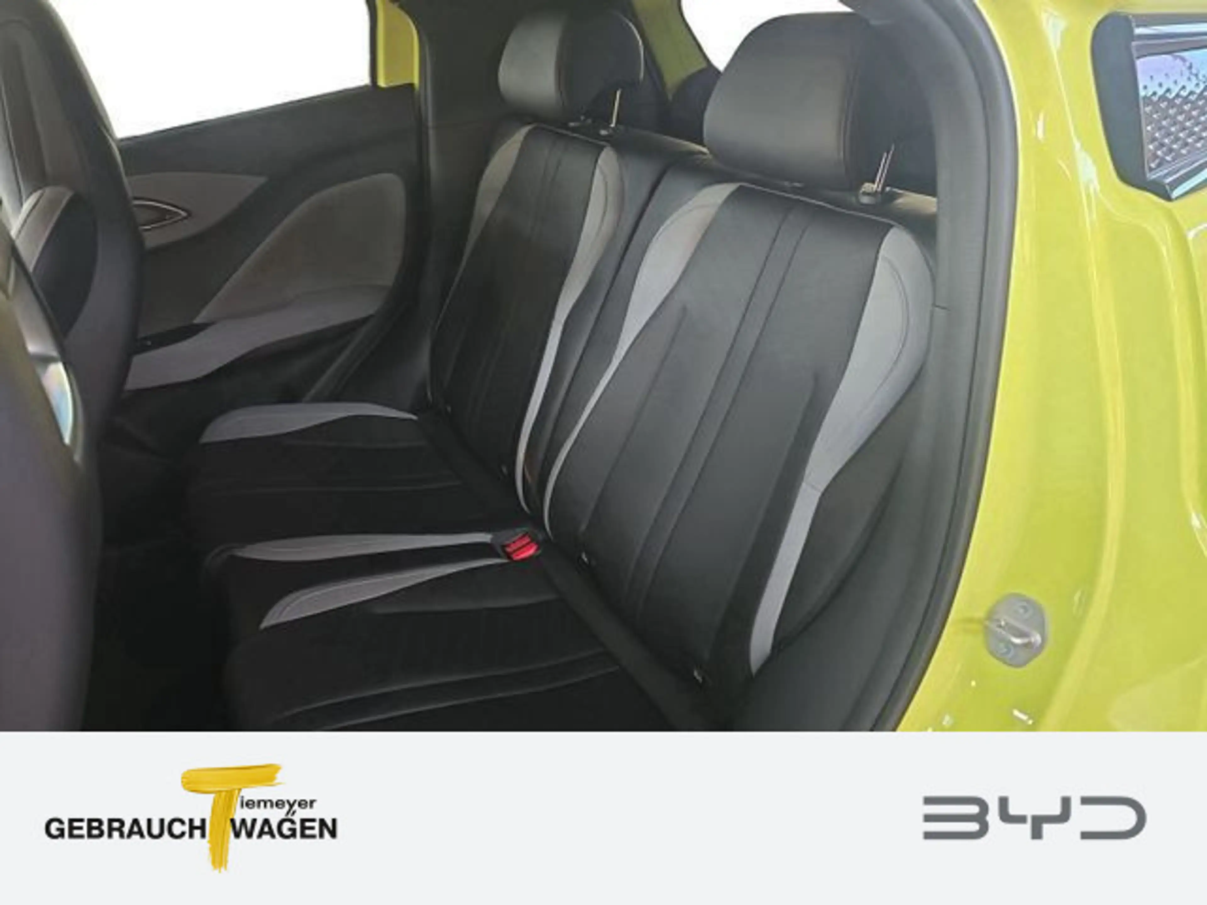 BYD Dolphin Surf Comfort — photo 10