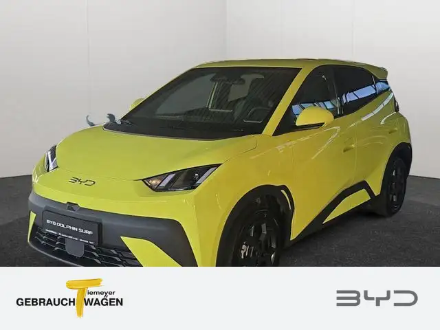 BYD Dolphin Surf