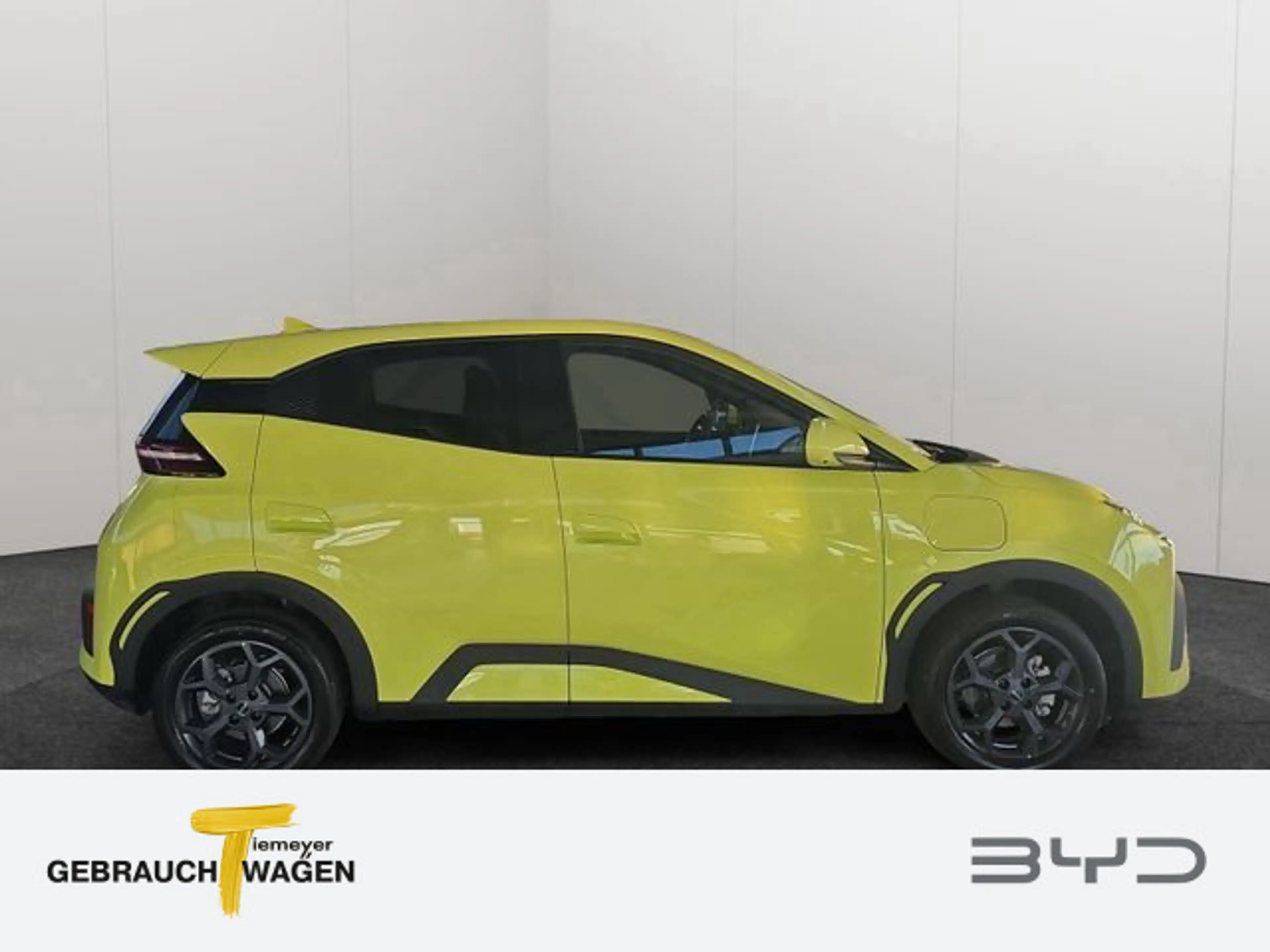BYD Dolphin Surf Comfort — photo 3