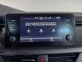 Skoda Kamiq 1.0 TSI 81kW (110CV) DSG Ambition Blanco - thumbnail 25