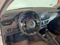 Skoda Kamiq 1.0 TSI 81kW (110CV) DSG Ambition Blanco - thumbnail 11