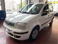 Fiat Panda 1.2 dualogic AUTOMATICA Bianco - thumbnail 4