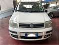 Fiat Panda 1.2 dualogic AUTOMATICA Bianco - thumbnail 1