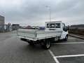 Ford Transit 2.4 diesel cassone fisso Blanc - thumbnail 4