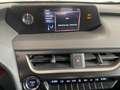 Lexus UX 250h 250h 2.0 Executive 2wd cvt my20 siva - thumbnail 15