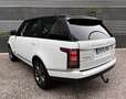 Land Rover Range Rover 3.0TDV6 Vogue Aut. Blanc - thumbnail 7