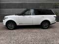 Land Rover Range Rover 3.0TDV6 Vogue Aut. Blanco - thumbnail 5