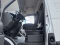 Iveco IVECO C30V 1  HAND KAMARA NAVI AHK Білий - thumbnail 14