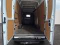 Iveco IVECO C30V 1  HAND KAMARA NAVI AHK Білий - thumbnail 4