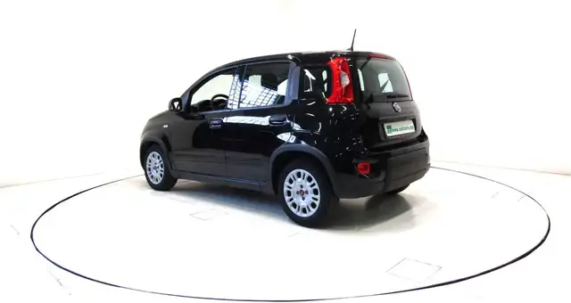 Fiat Panda view 15