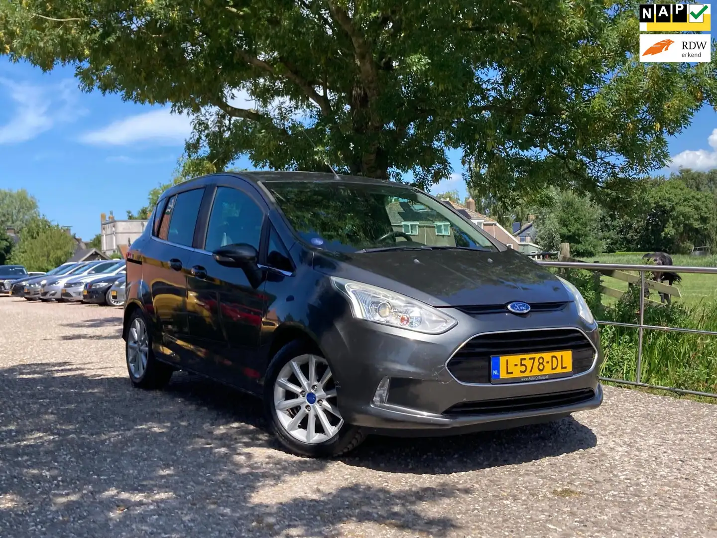 Ford B-Max 1.0 EcoBoost Titanium | Cruise + Clima nu € 4.975, Grigio - 1