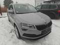 Skoda Karoq Style Grau - thumbnail 1