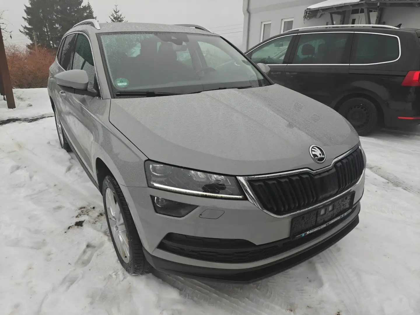 Skoda Karoq Style Grau - 1