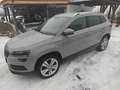 Skoda Karoq Style Grau - thumbnail 11