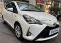 Toyota Yaris Yaris III 2017 5p 1.5h Active my18 Bianco - thumbnail 3