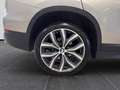 BMW X1 xdrive20d Business Advantage auto Bronze - thumbnail 21