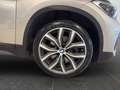 BMW X1 xdrive20d Business Advantage auto Bronze - thumbnail 22