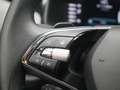 Skoda Kodiaq L&K 4x4 AHK LEDER ACC NAVI MEMORY CANT Grau - thumbnail 18