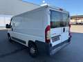 Citroen Jumper L2H1 HDi 110 FAP TÜV NEU Weiß - thumbnail 3