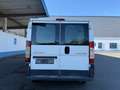 Citroen Jumper L2H1 HDi 110 FAP TÜV NEU Weiß - thumbnail 4