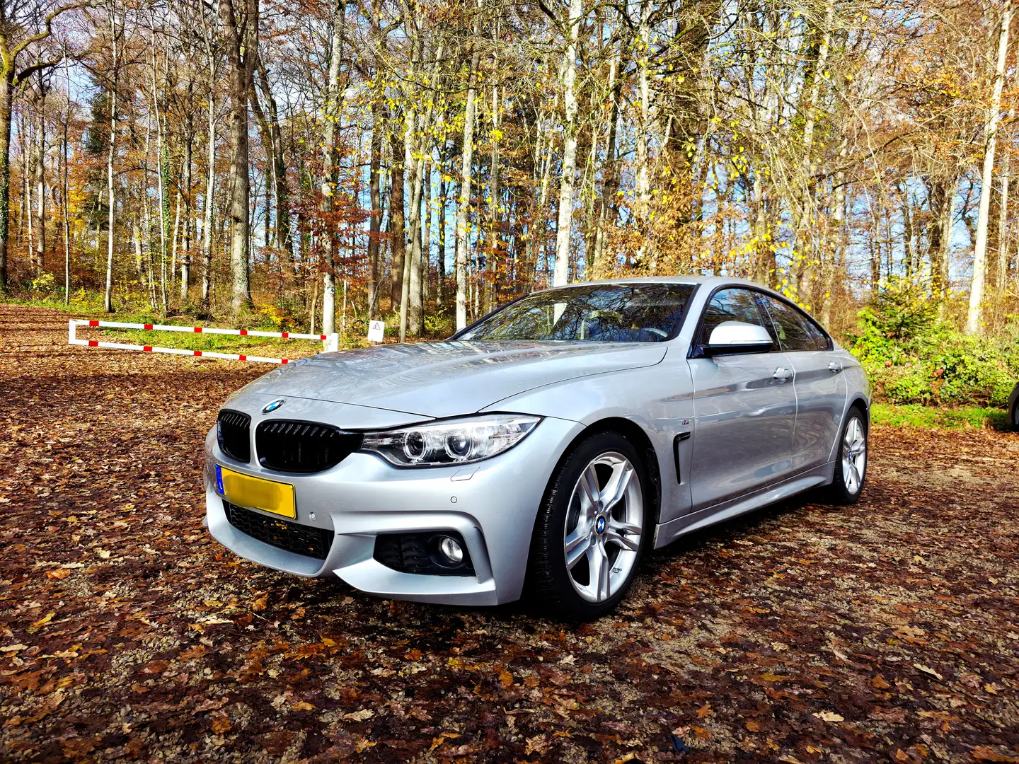 BMW 420 420i Gran Coupe M Sport Argent - 1