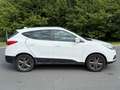 Hyundai iX35 1.7 CRDi 115 2WD Pack Premium Blanc - thumbnail 4