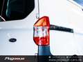 Ford Transit Courier Trend KLIMA-GLAS*AHK*SCHIEBETÜR Weiß - thumbnail 10