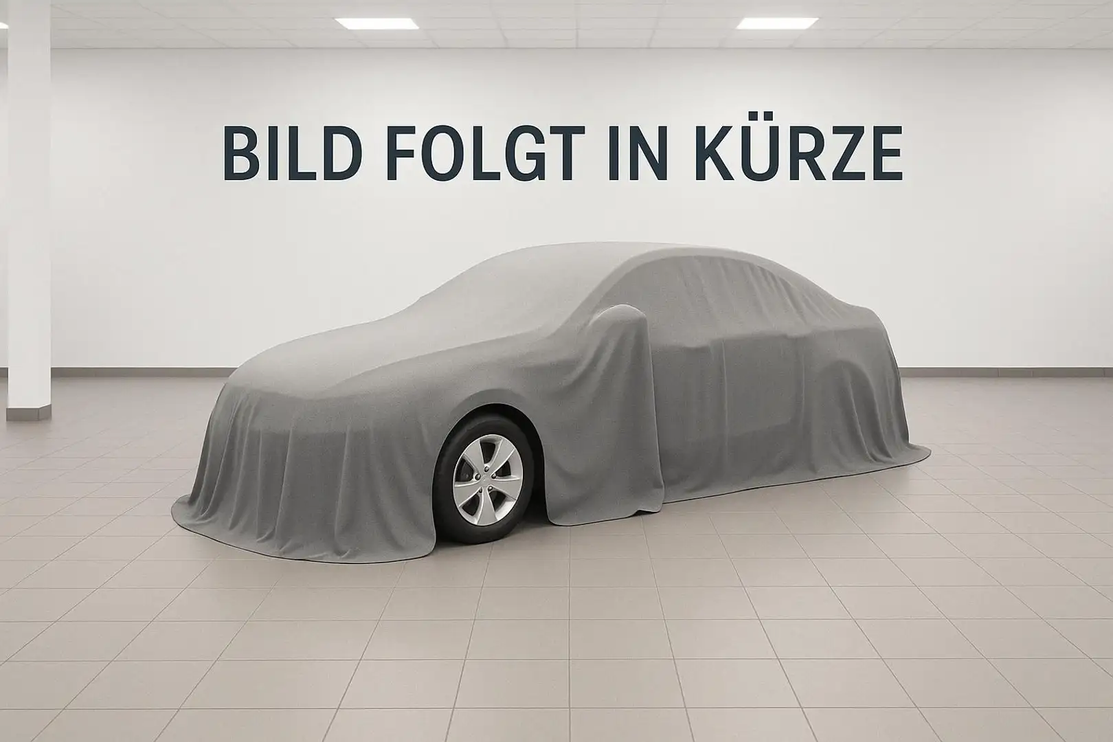 Citroen Berlingo Shine XL AHK+HUD+Tagfahrlicht Grau - 1