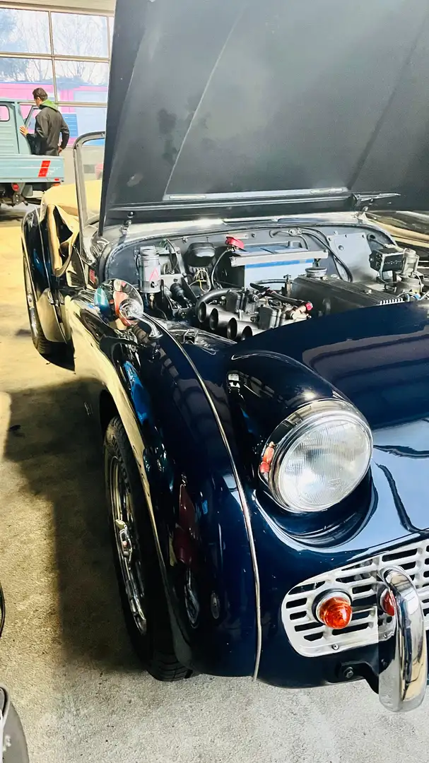 Triumph TR3 Blau - 2
