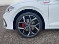 Volkswagen Polo GTI 2.0 TSI DSG Pano 18" Keyless Weiß - thumbnail 10