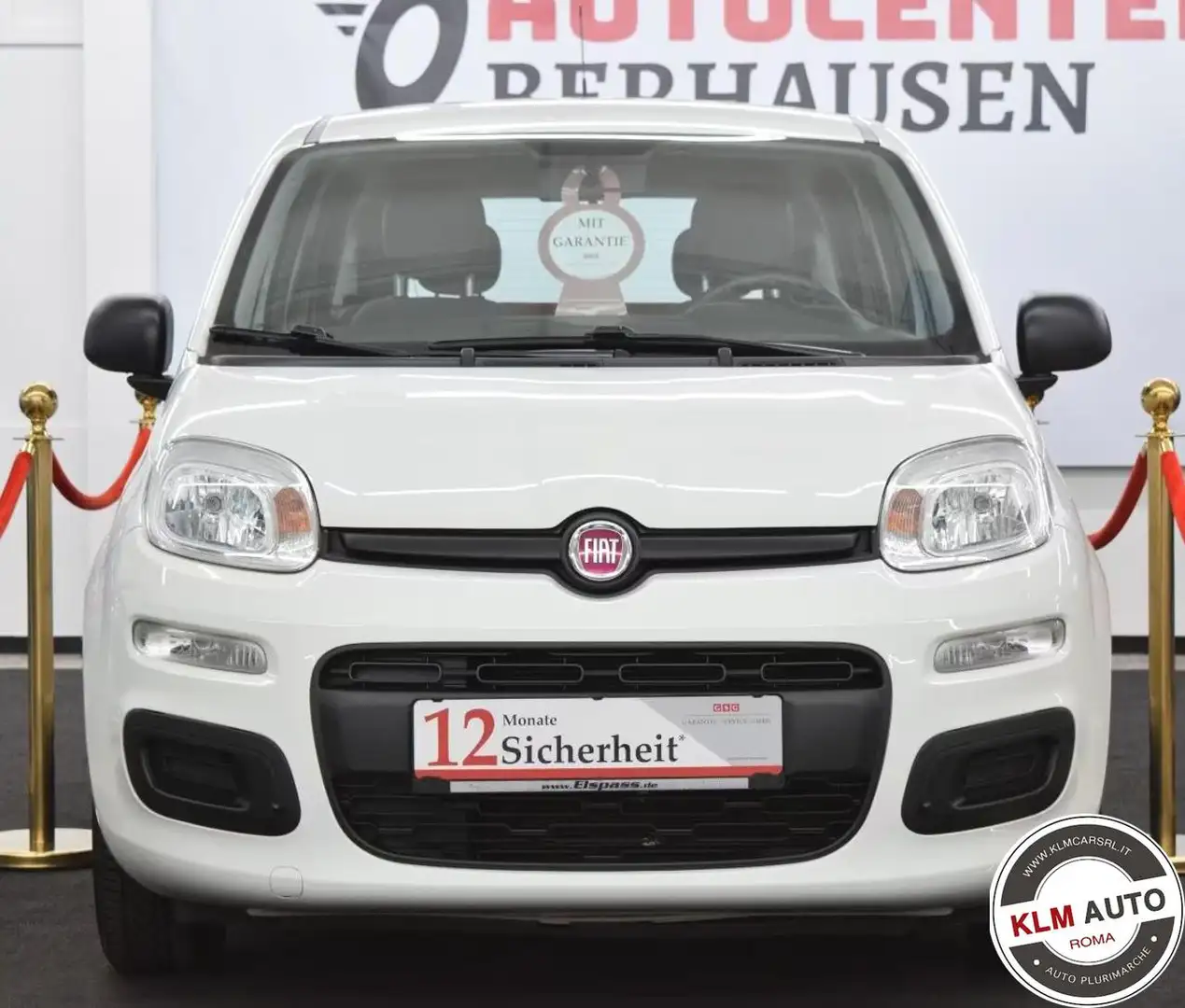 Fiat Panda 1.2 Lounge Bianco - 1