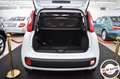Fiat Panda 1.2 Lounge Bianco - thumbnail 8