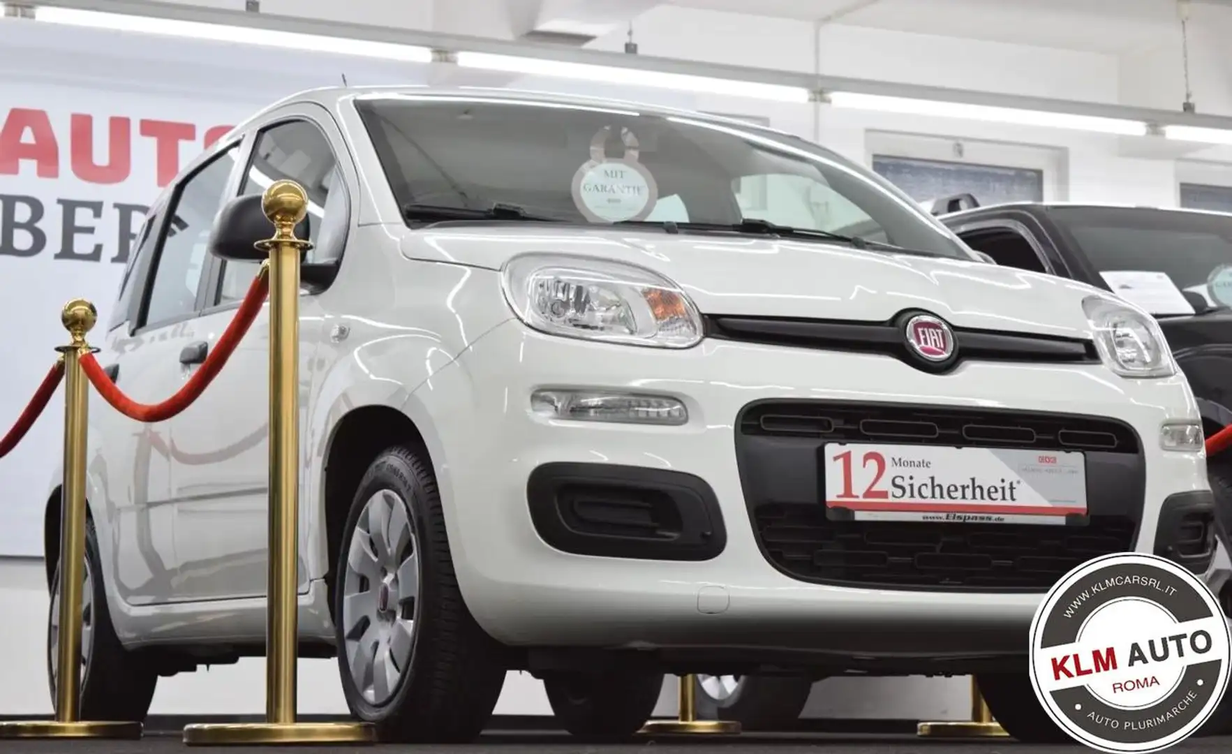 Fiat Panda 1.2 Lounge Bianco - 2