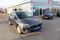 Ford Fiesta 1.0 EcoBoost Titanium (EURO 6d) Grau - thumbnail 2