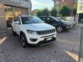 Jeep Compass Compass 1.6 Multijet II 2WD Limited Blanc - thumbnail 12