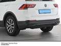 Volkswagen Tiguan Life TDI DSG AHK ACC*LED*APP-Connect* Weiß - thumbnail 7