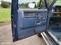 Ford F 250 USA Pick-Up 460 4x4 3500kg trekhaak Azul - thumbnail 17