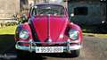 Volkswagen Escarabajo 1500 Año 1967 Burdeos - thumbnail 4
