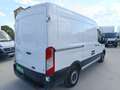 Ford Transit FORD Industrial  Manual de 4 Puertas Blanco - thumbnail 7