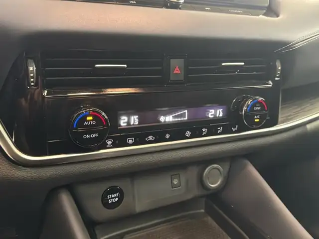 Nissan Qashqai view 11