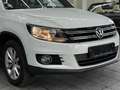Volkswagen Tiguan 2.0 TDI 4Motion Lounge, Navi, Kamera, PDC Bianco - thumbnail 17