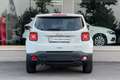Jeep Renegade Renegade 1.6 diesel Limited 120cv Bianco - thumbnail 5