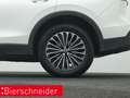 Volkswagen Tiguan 2.0 TDI DSG 4Mo. GOAL AHK IQ.LIGHT NAVI KESSY Weiß - thumbnail 23