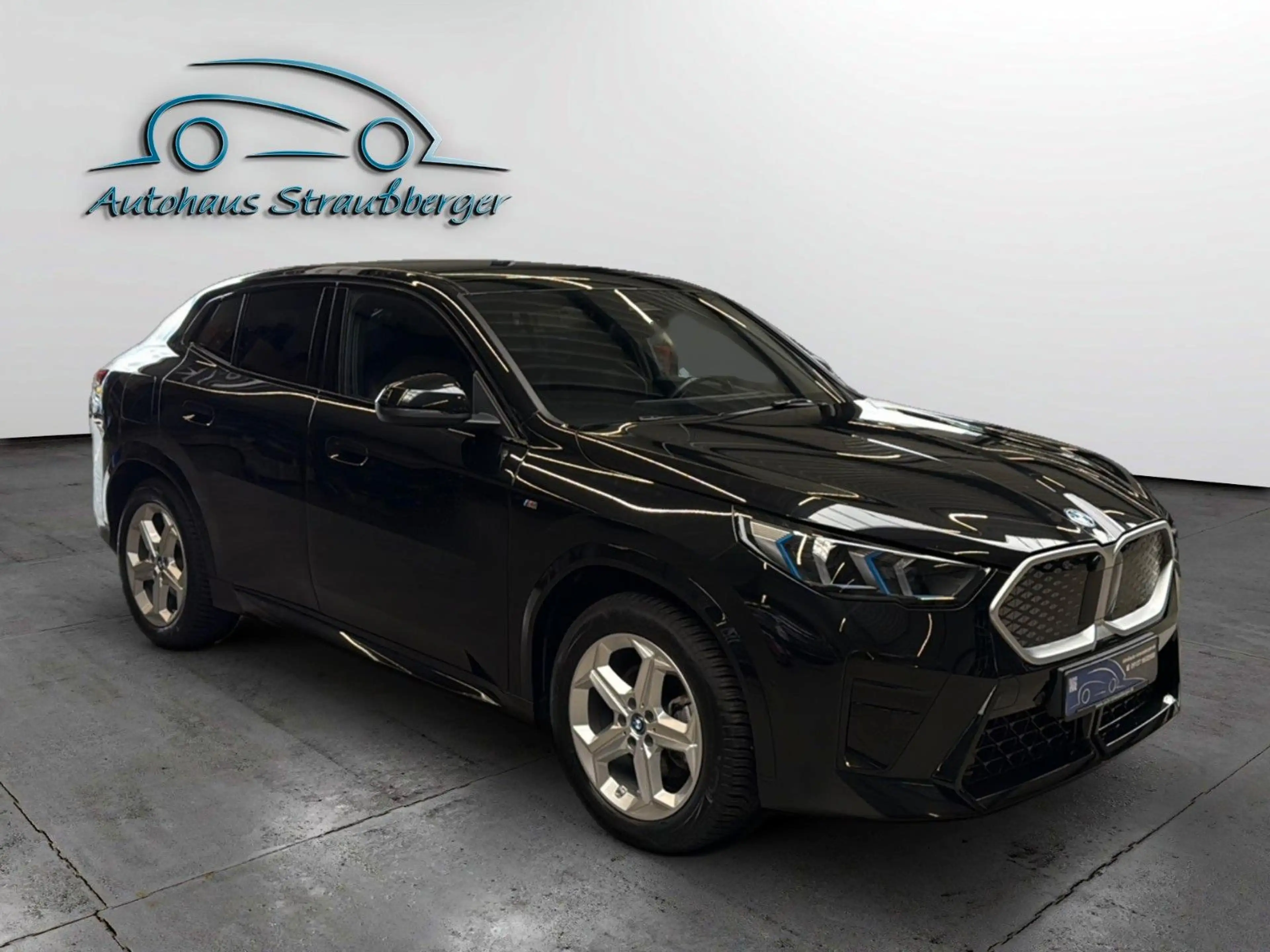 BMW iX2 20eDrive M-Sport H&K AHK Memory 2ZK RFK — photo 6