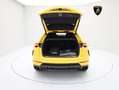 Lamborghini Urus MY21 I CARBON I GIALLO AUGE Gelb - thumbnail 22