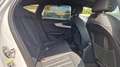 Audi A4 allroad quattro 40 TDI Virtual Leder 360* AHK Weiß - thumbnail 12