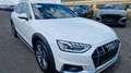 Audi A4 allroad quattro 40 TDI Virtual Leder 360* AHK Weiß - thumbnail 1