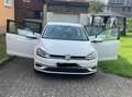 Volkswagen Golf Variant Golf Variant 1.0 TSI OPF IQ.DRIVE Weiß - thumbnail 2